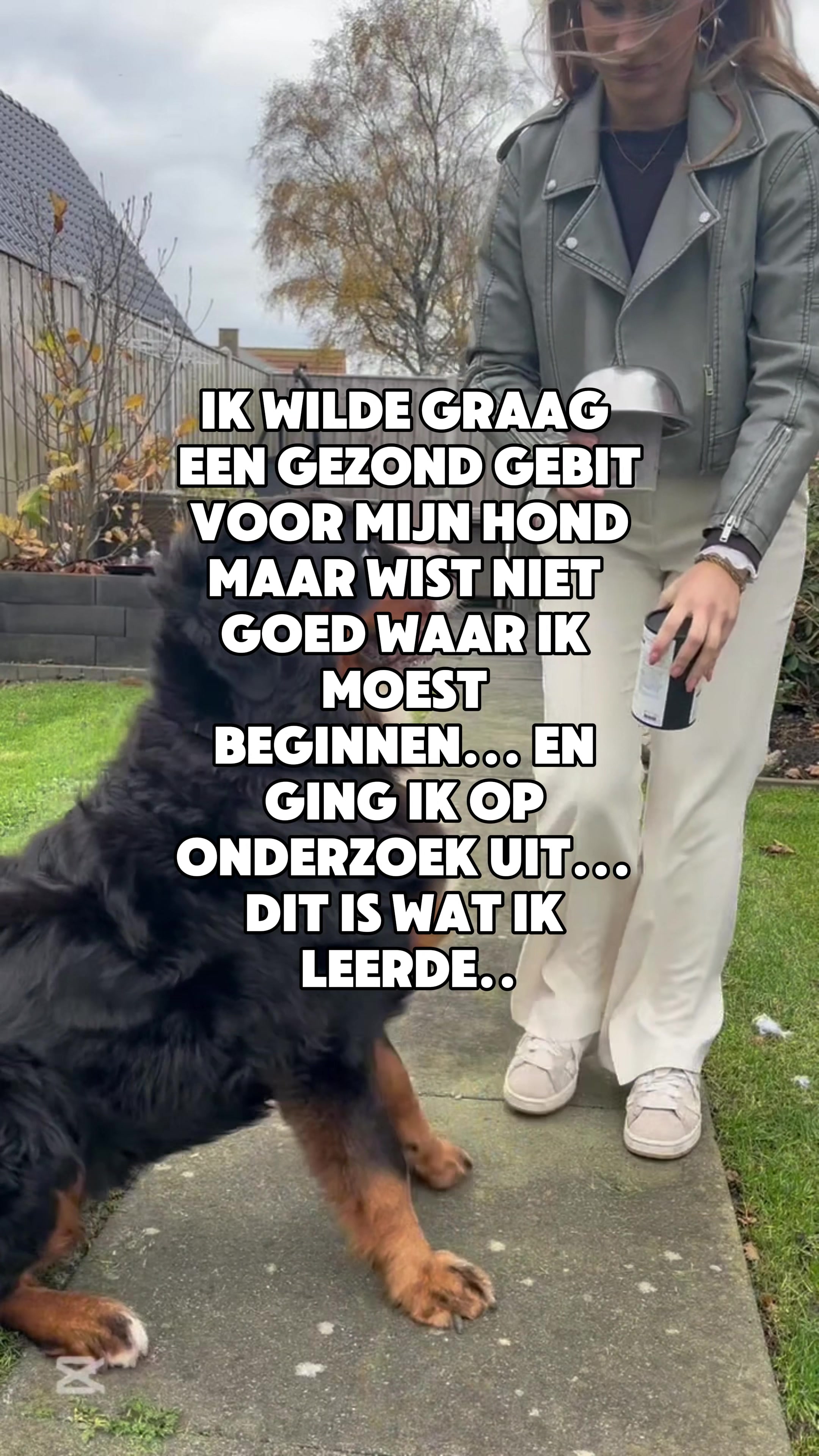 @Pure Paws