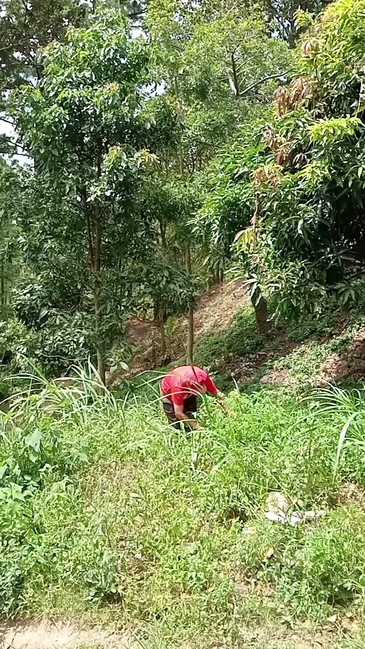 @Sebastian Vásquez