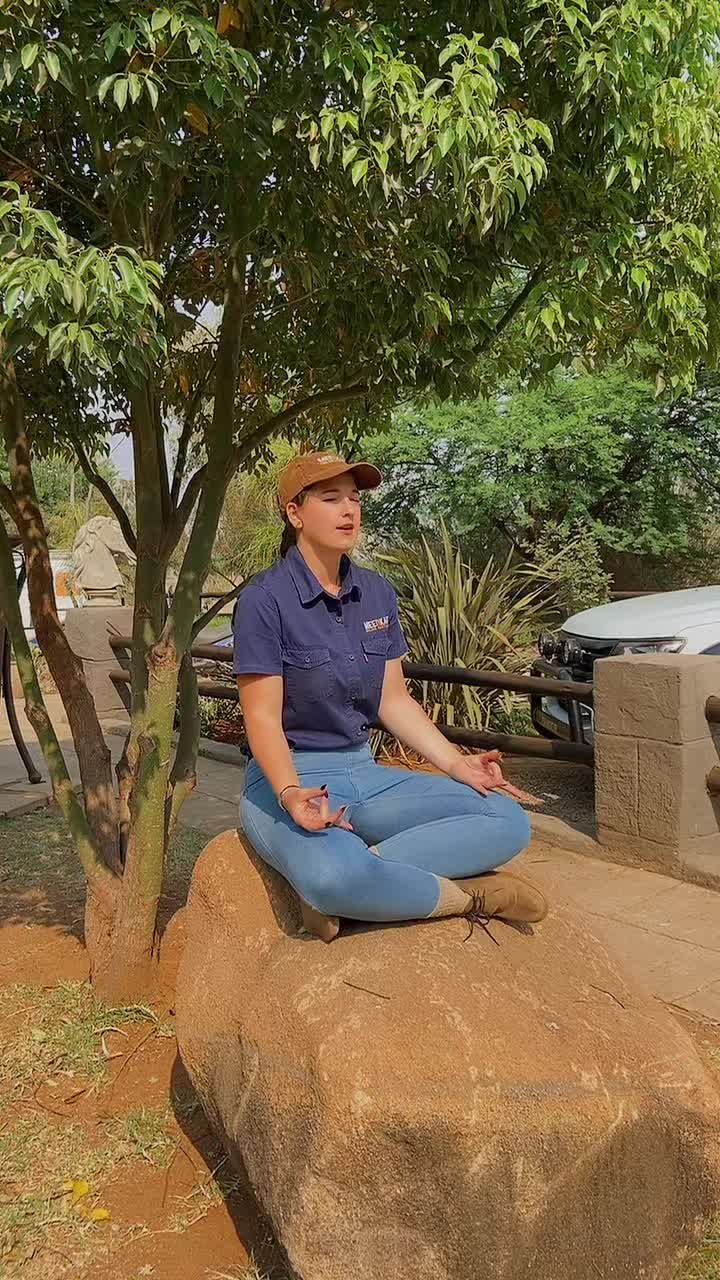@Meerkat Mariaan