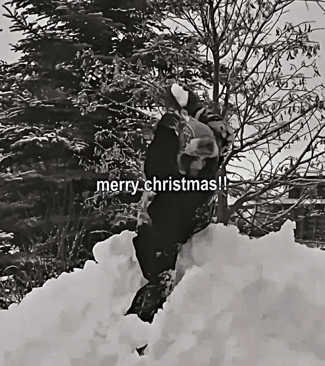 @mattsrising