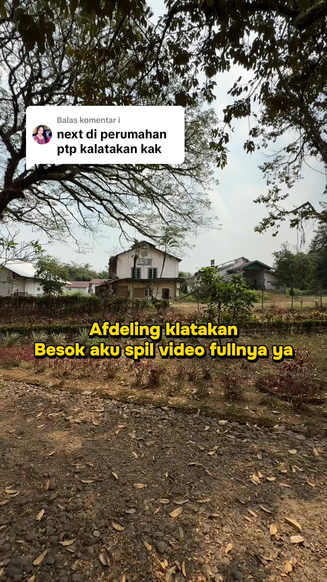 @nabiel aziz, S.H.