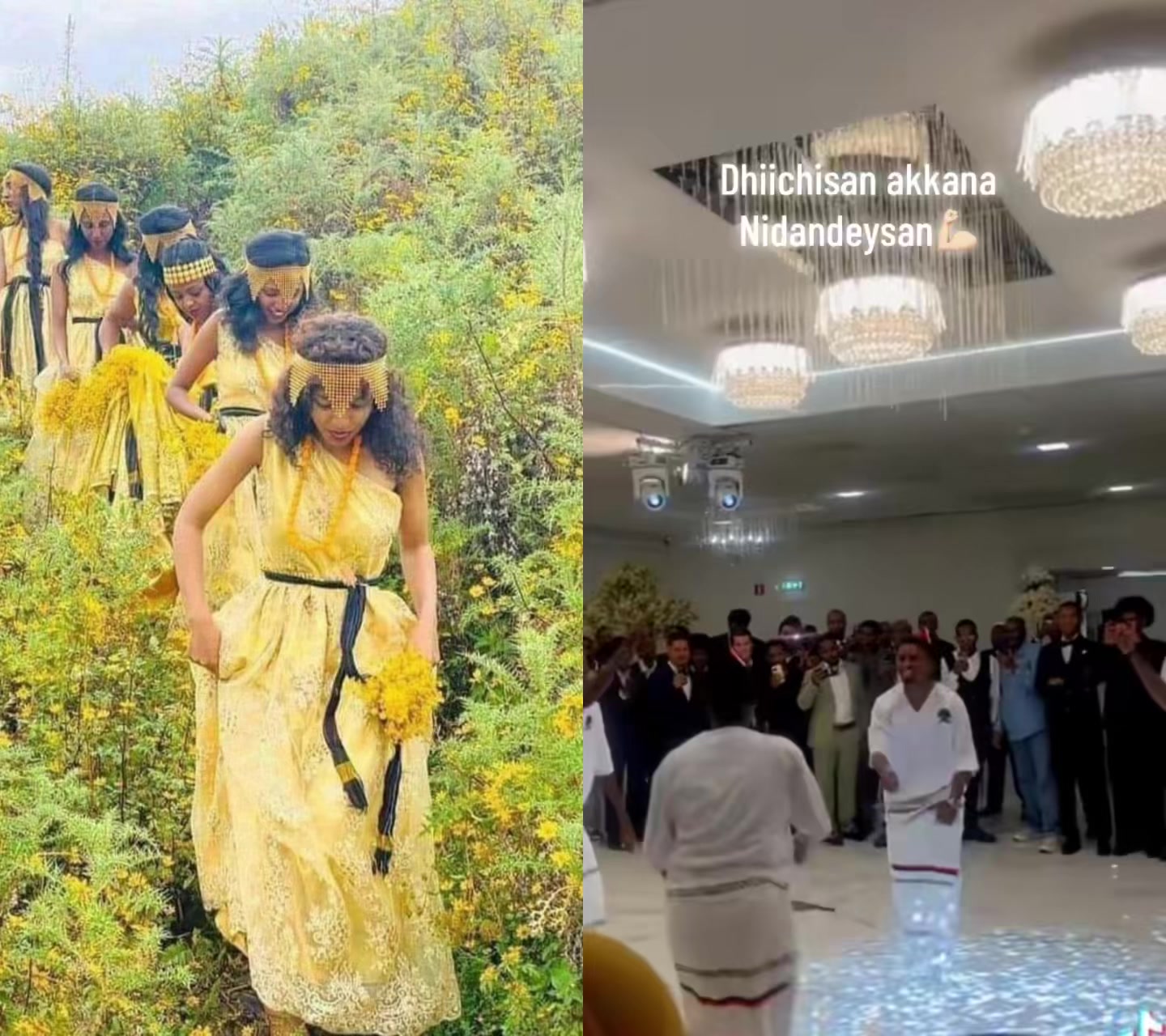 @TakkittiiAbbaadhoo❤️4💚3♥️0🌳