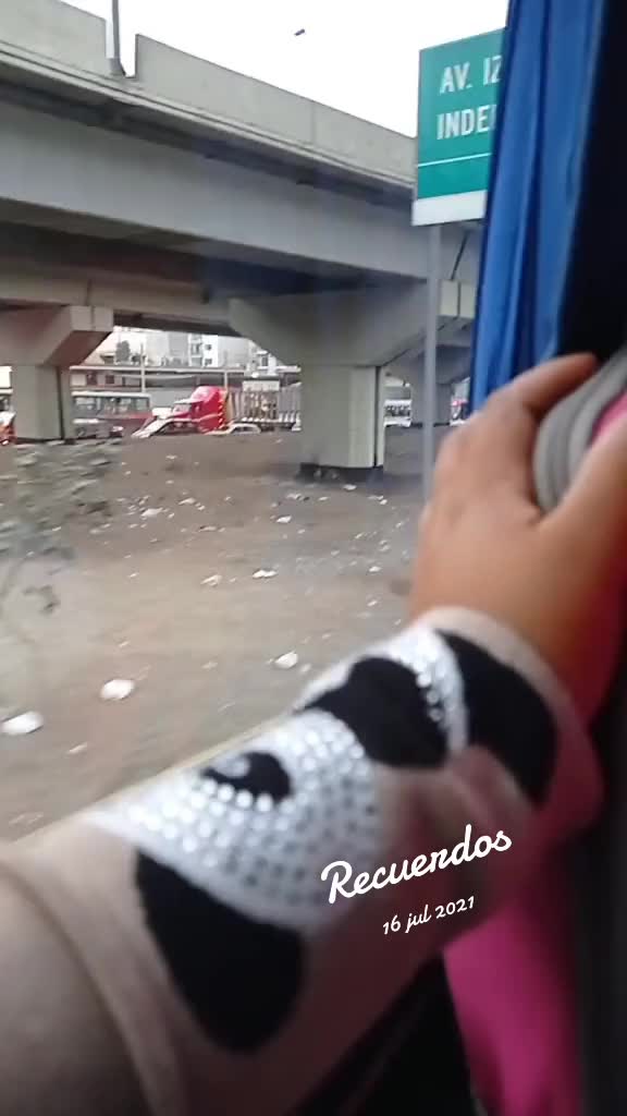 @Danizita Milla Mata