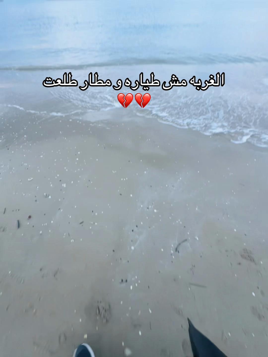 @๐น๐ณ Tunisien ๐น๐ณ