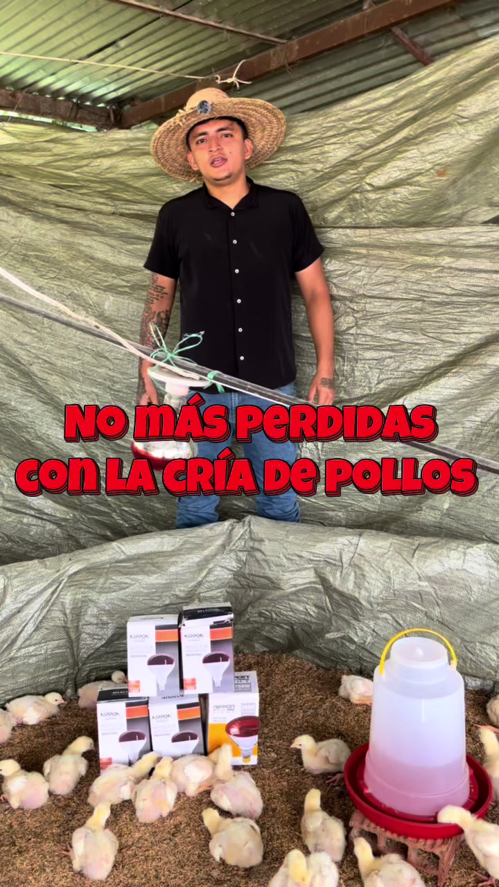 @elmagnatedelospollos