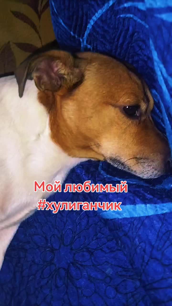 @людмила позитивчик