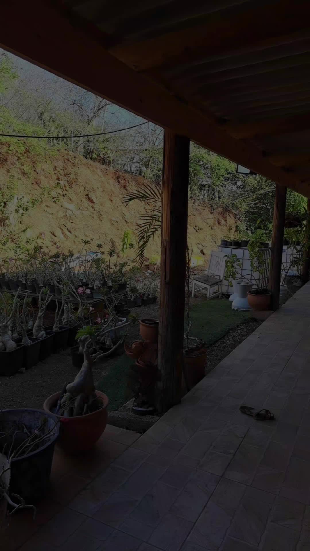 @Solimar Ordoñez