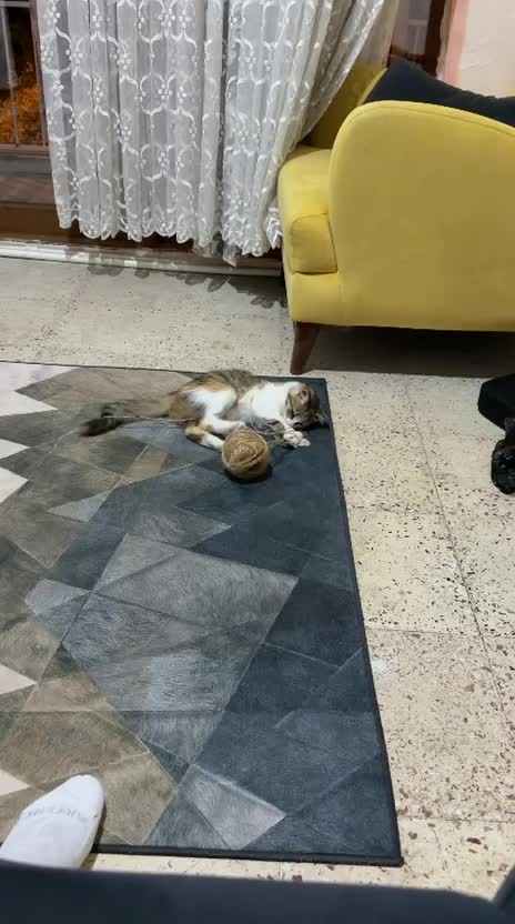@Leman Şıhca