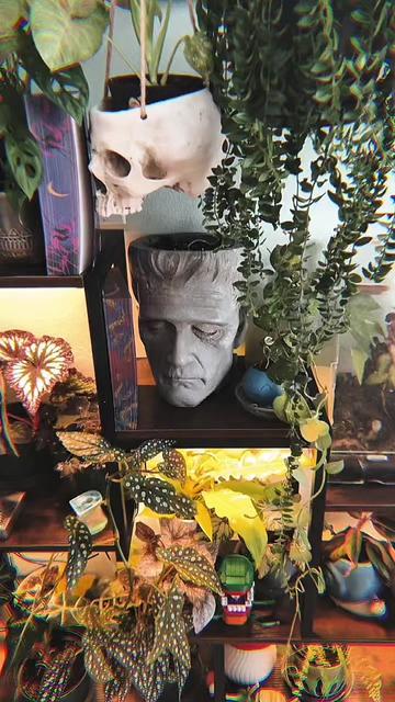 @🗡️🌿📚Tex📚🌿🗡️