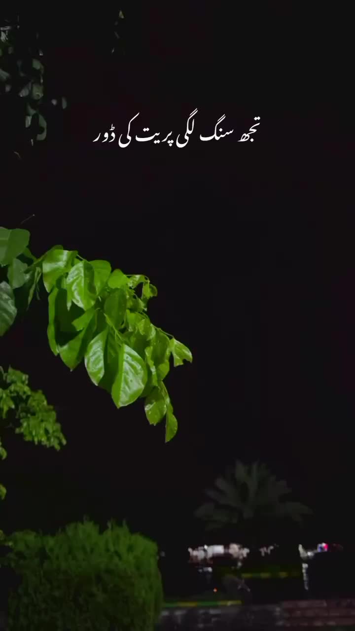 @Hira umar 💕