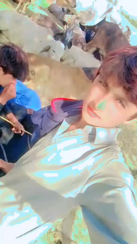 @Ahmad Raza,joyia