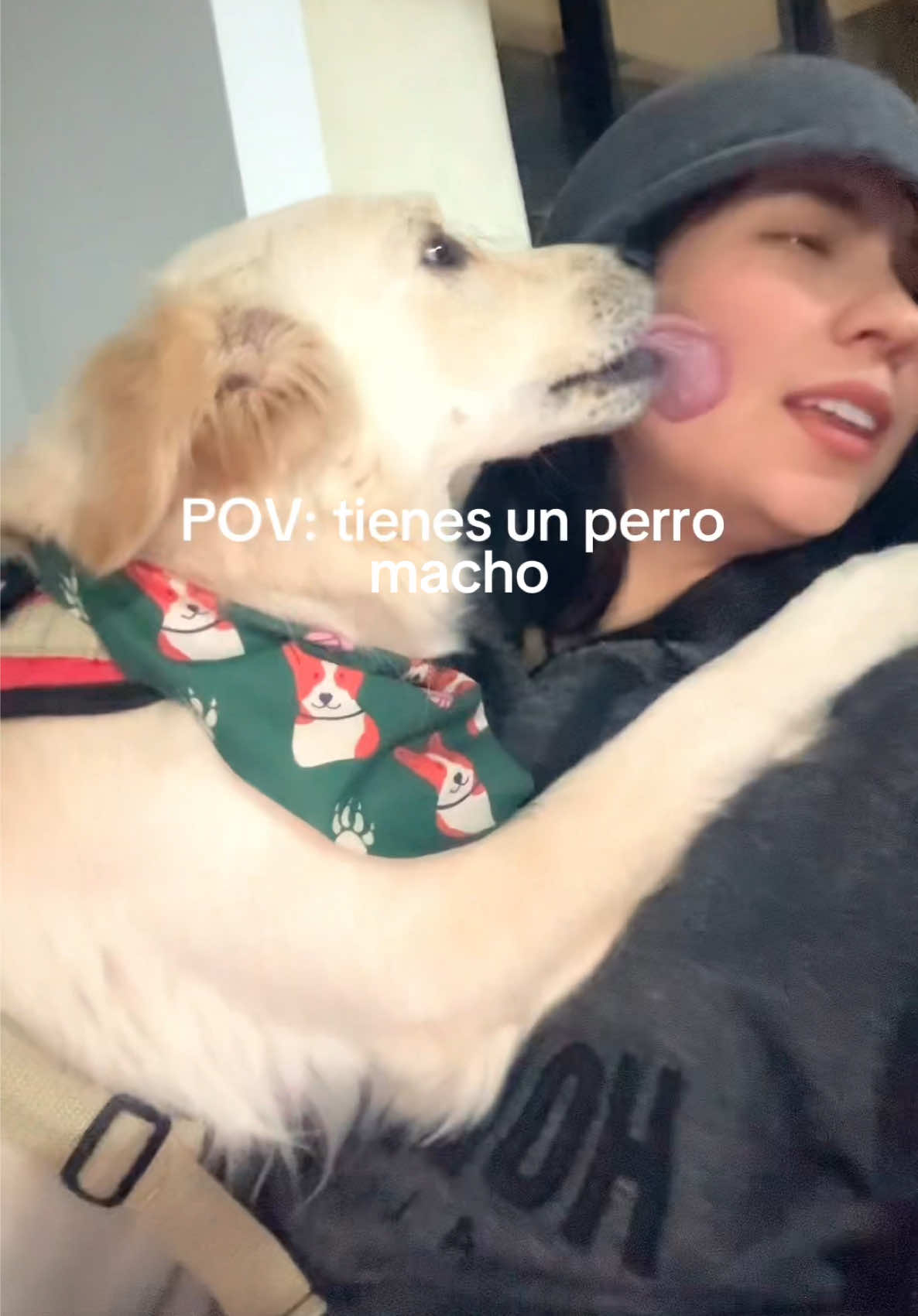 @Val 🦢🤍