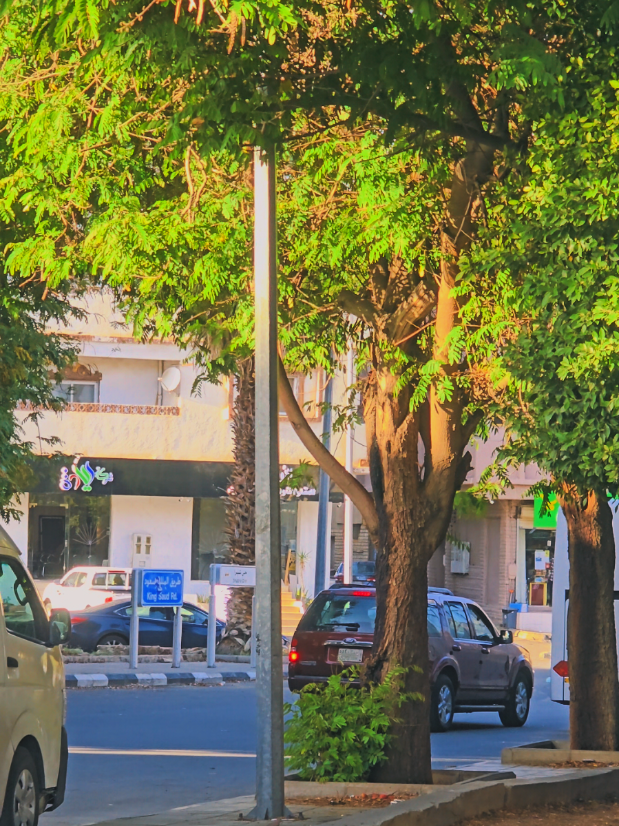 @مصرية فى الطائف
