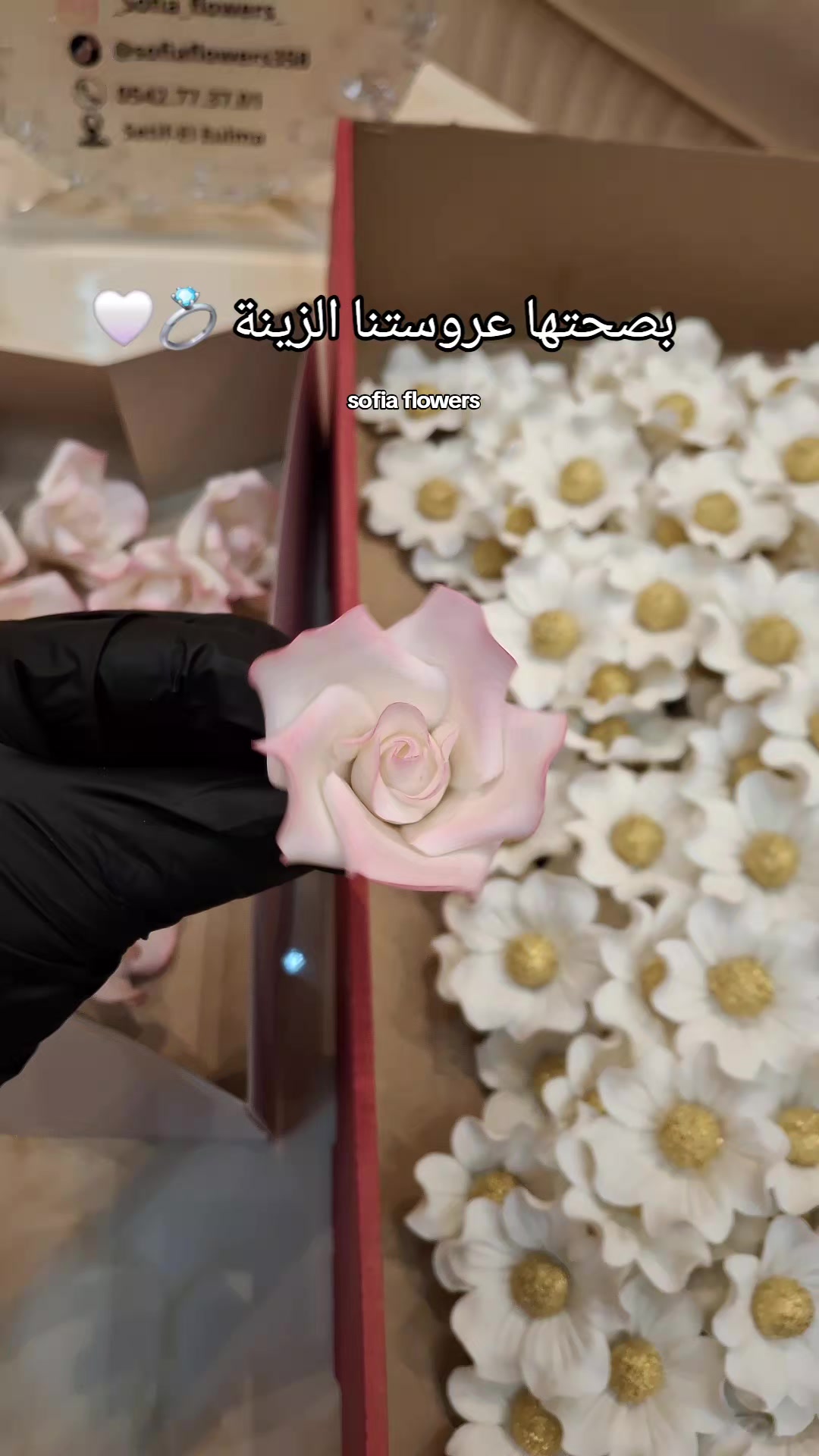 @✨️Sofia flowers✨️
