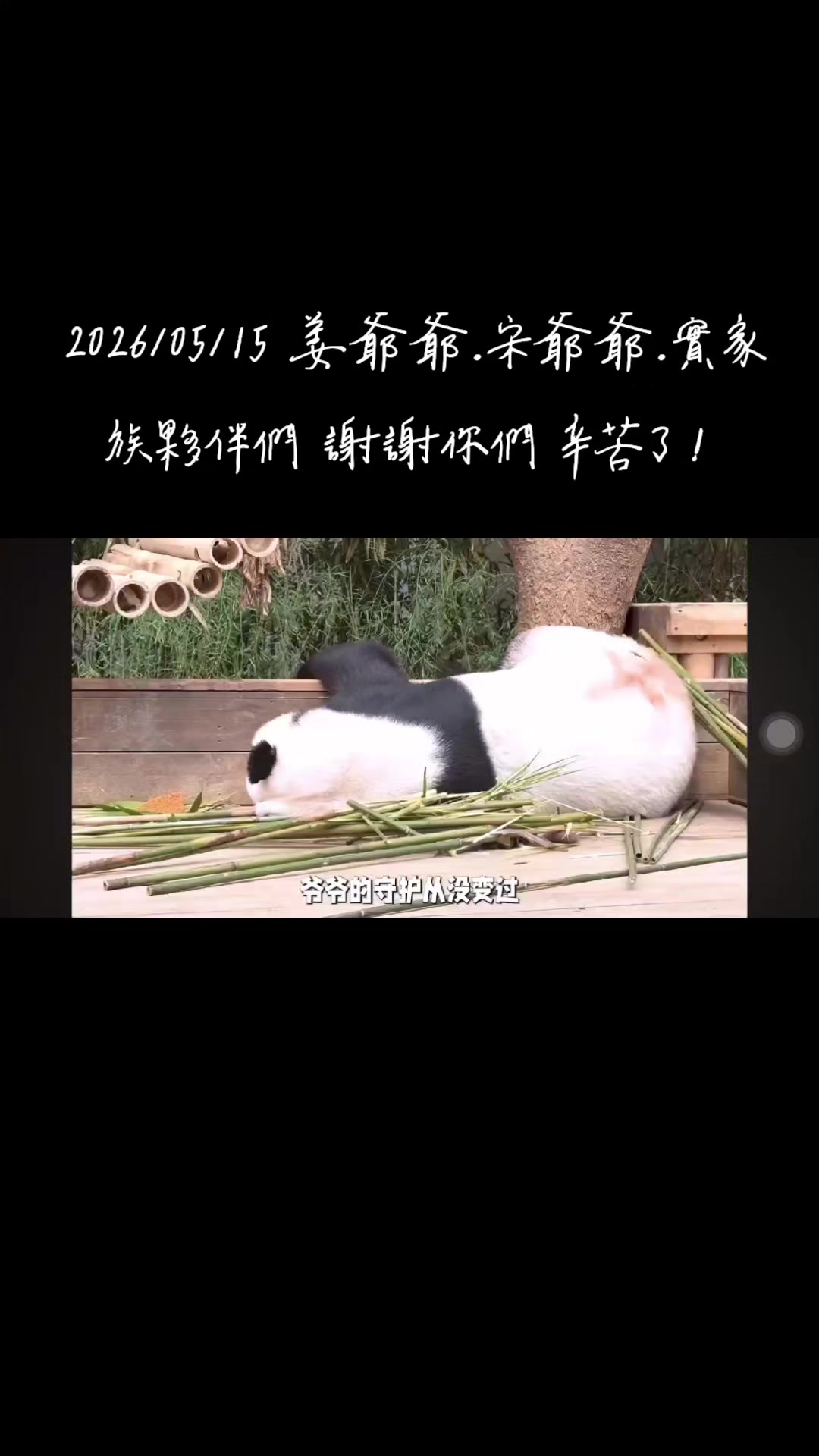 @福寶需要愛的抱抱