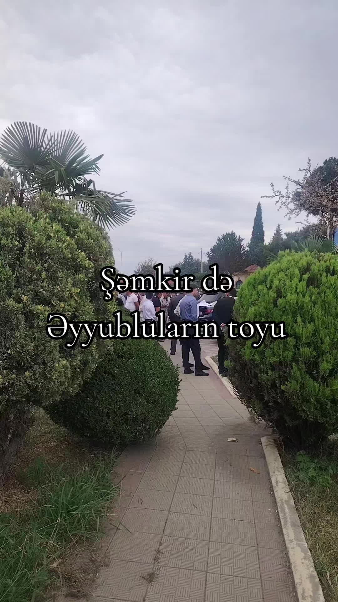 @ZİRVƏ RƏQS ANSAMBLI TOVUZ