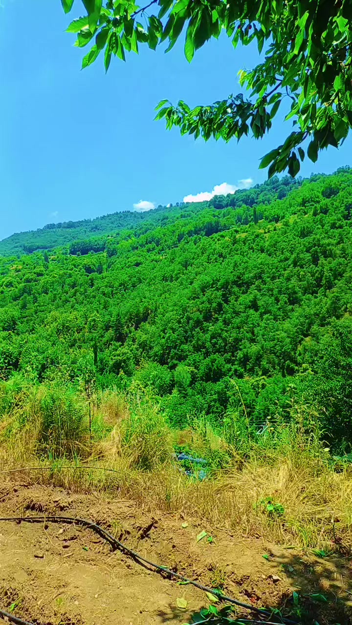 @TATAR RAMAZAN 09