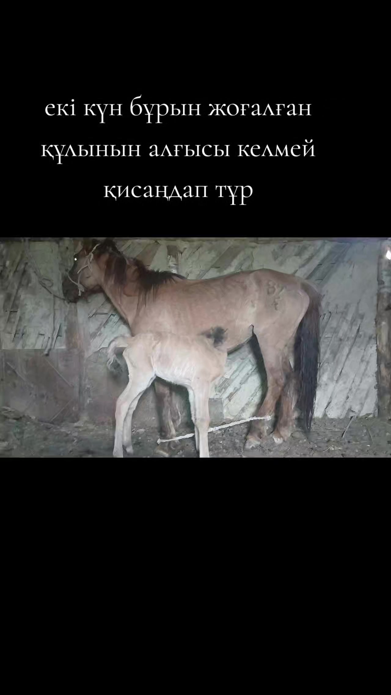 @ҒАЛЫМ ҚАЛАБАЕВ