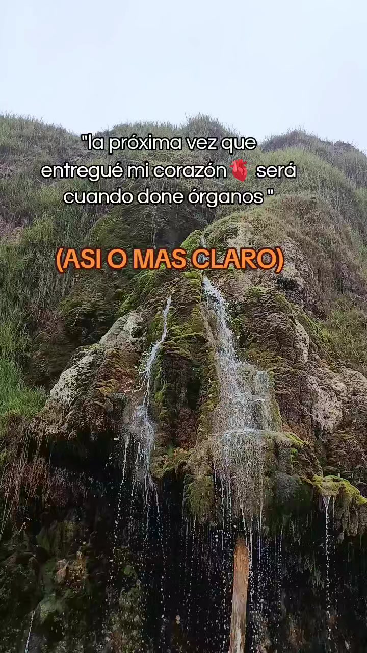 @💊QC💙LILI🌟🌝