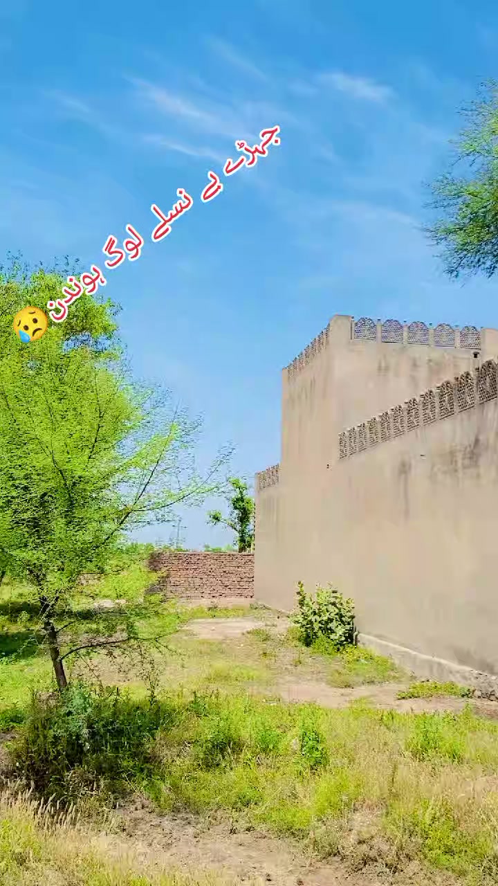 @احسانی پاکھرےآلا🫀