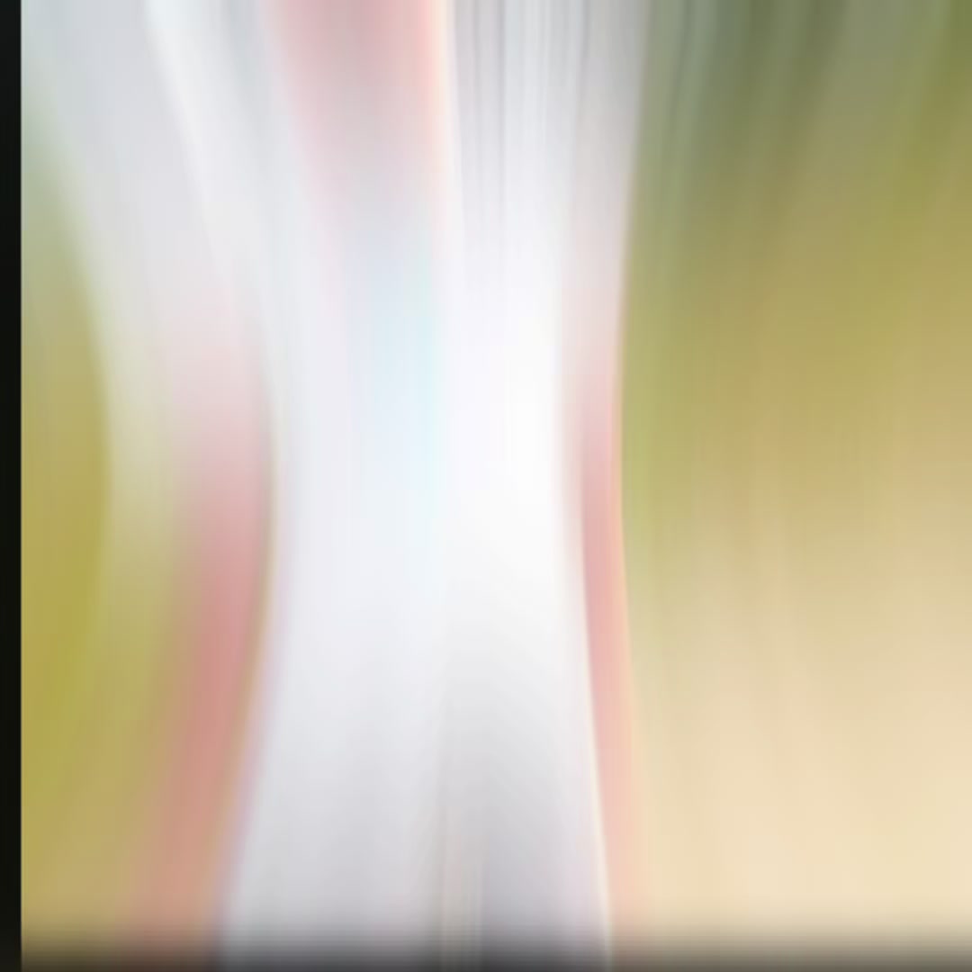 @新潟のはるひ