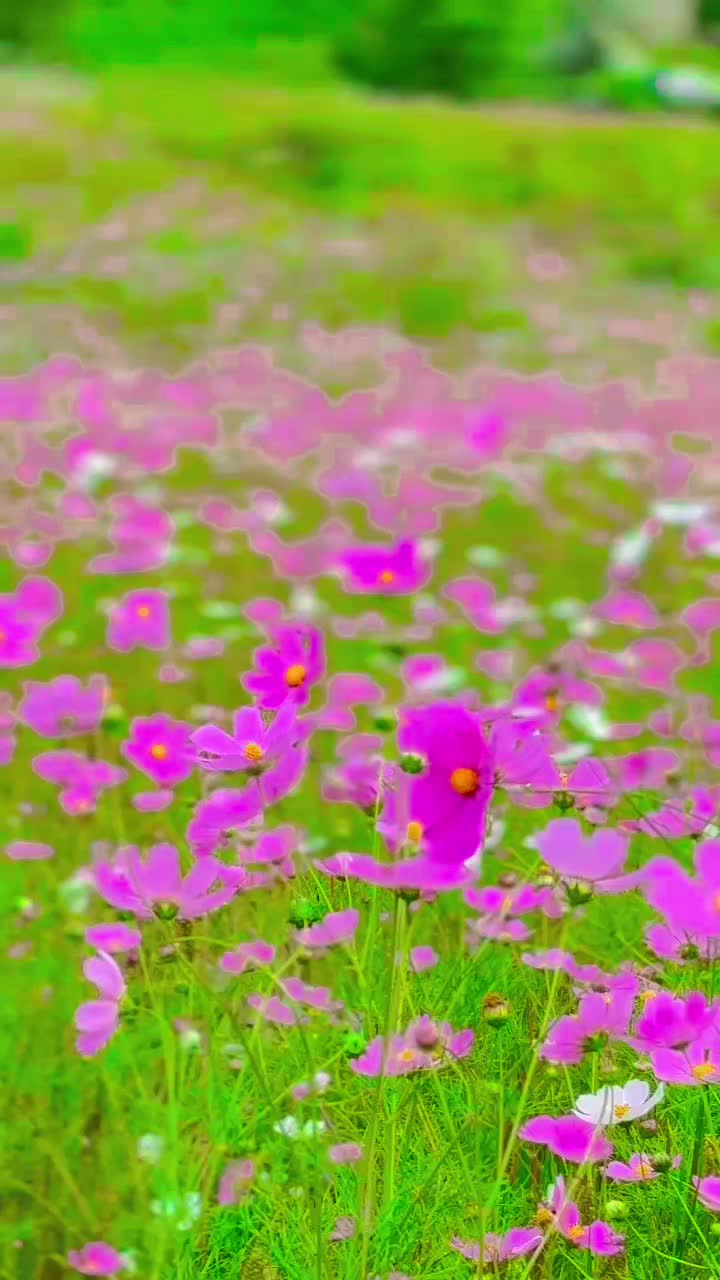 @✨YAM⚔️💞🥀