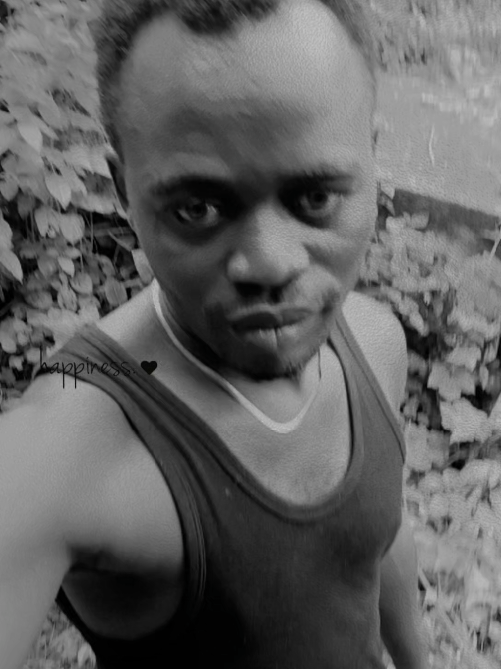 @DREAM CHASER