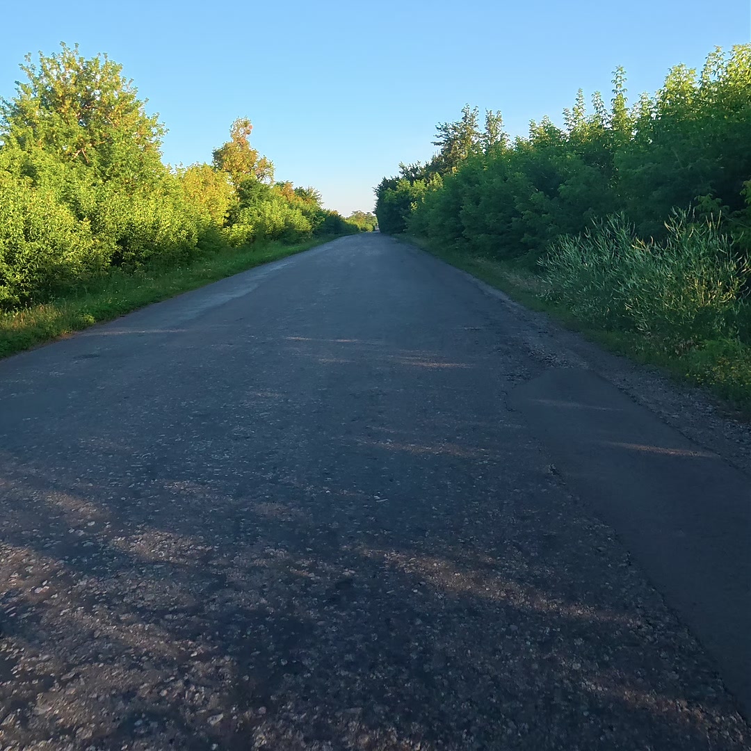 @Євгенія Швед