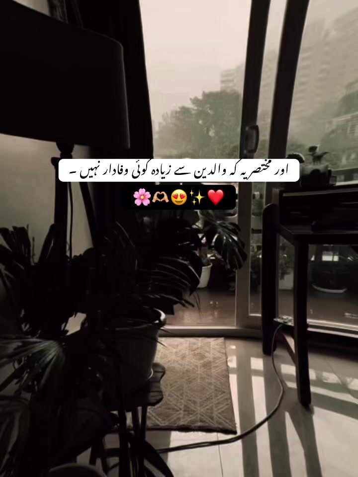 @𝘏 𝘈 𝘕 𝘡 𝘈 𝘓 𝘈 🐼 ✓