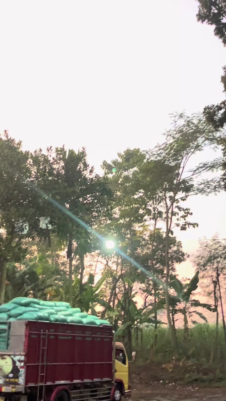 @Dikaaapj141