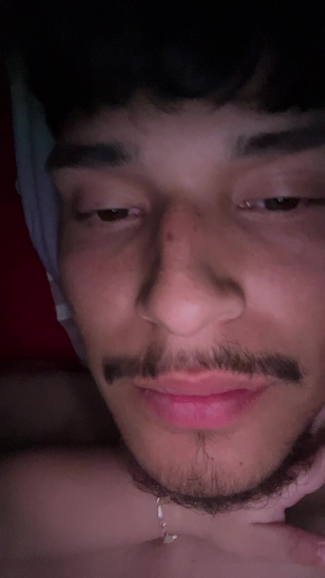 @POLLITO 🐣
