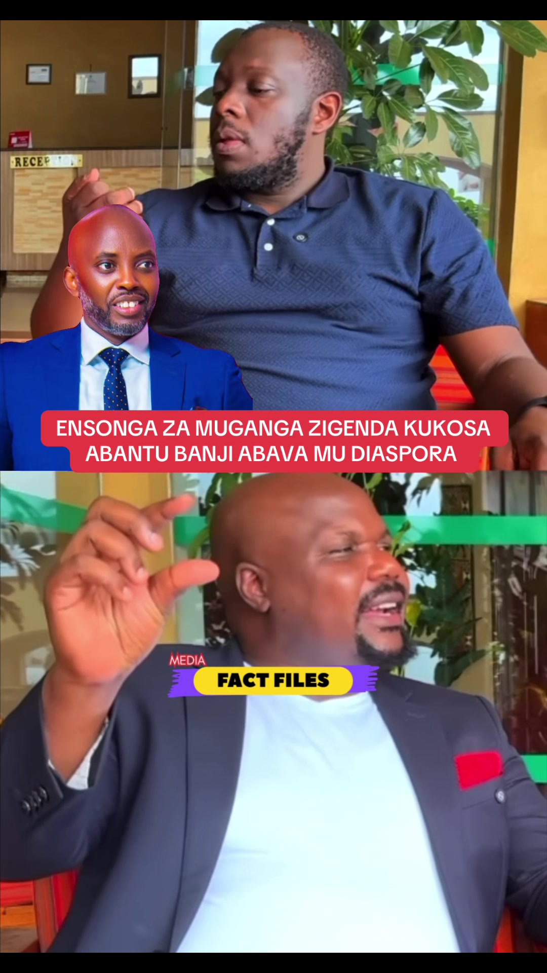 @FactFilesMedia
