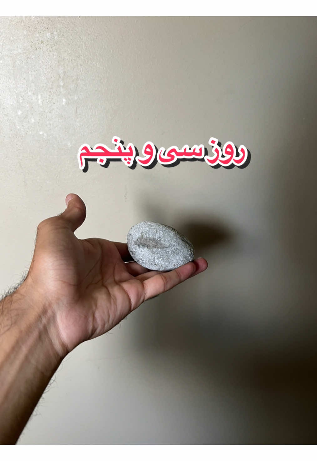 @قلی | یه حیوون خونگی متفاوت