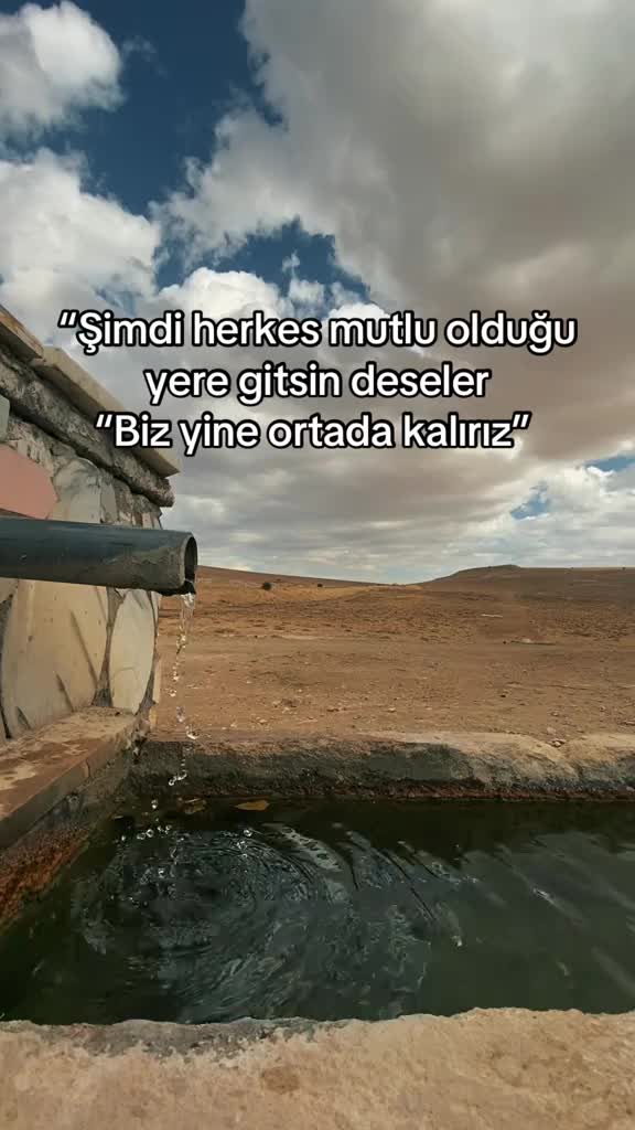 @avci