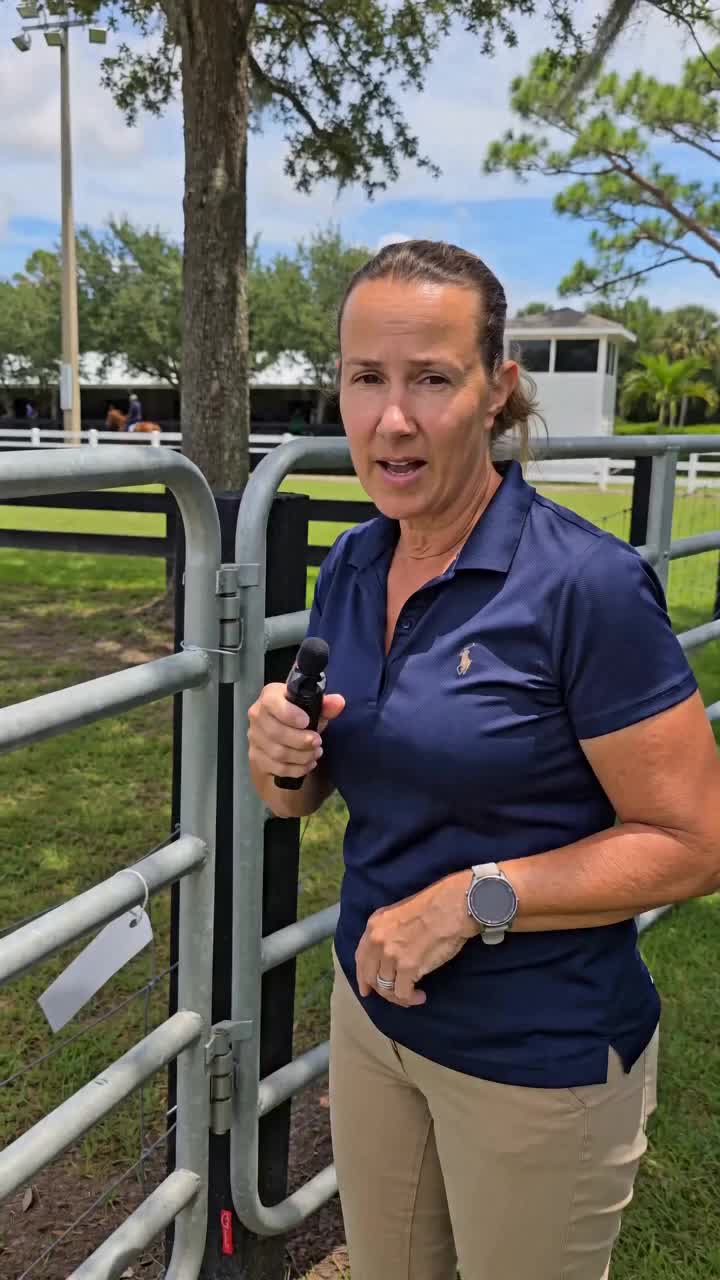@DressageHub