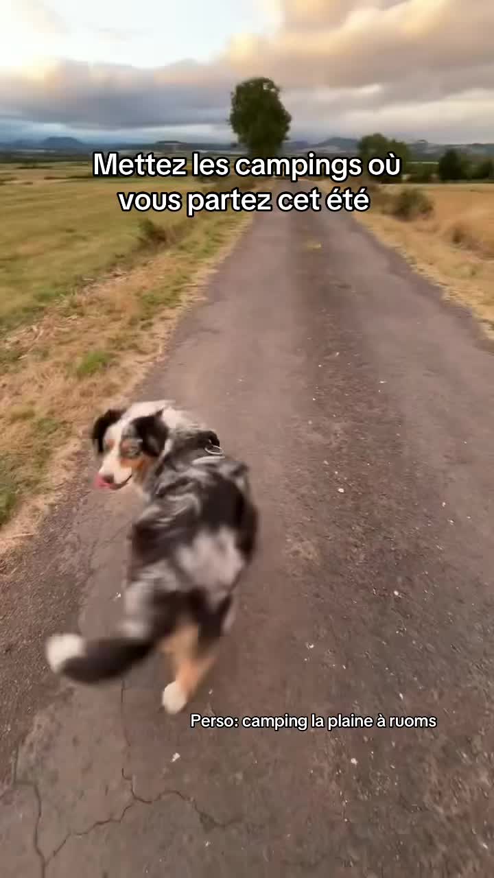 @Noélie