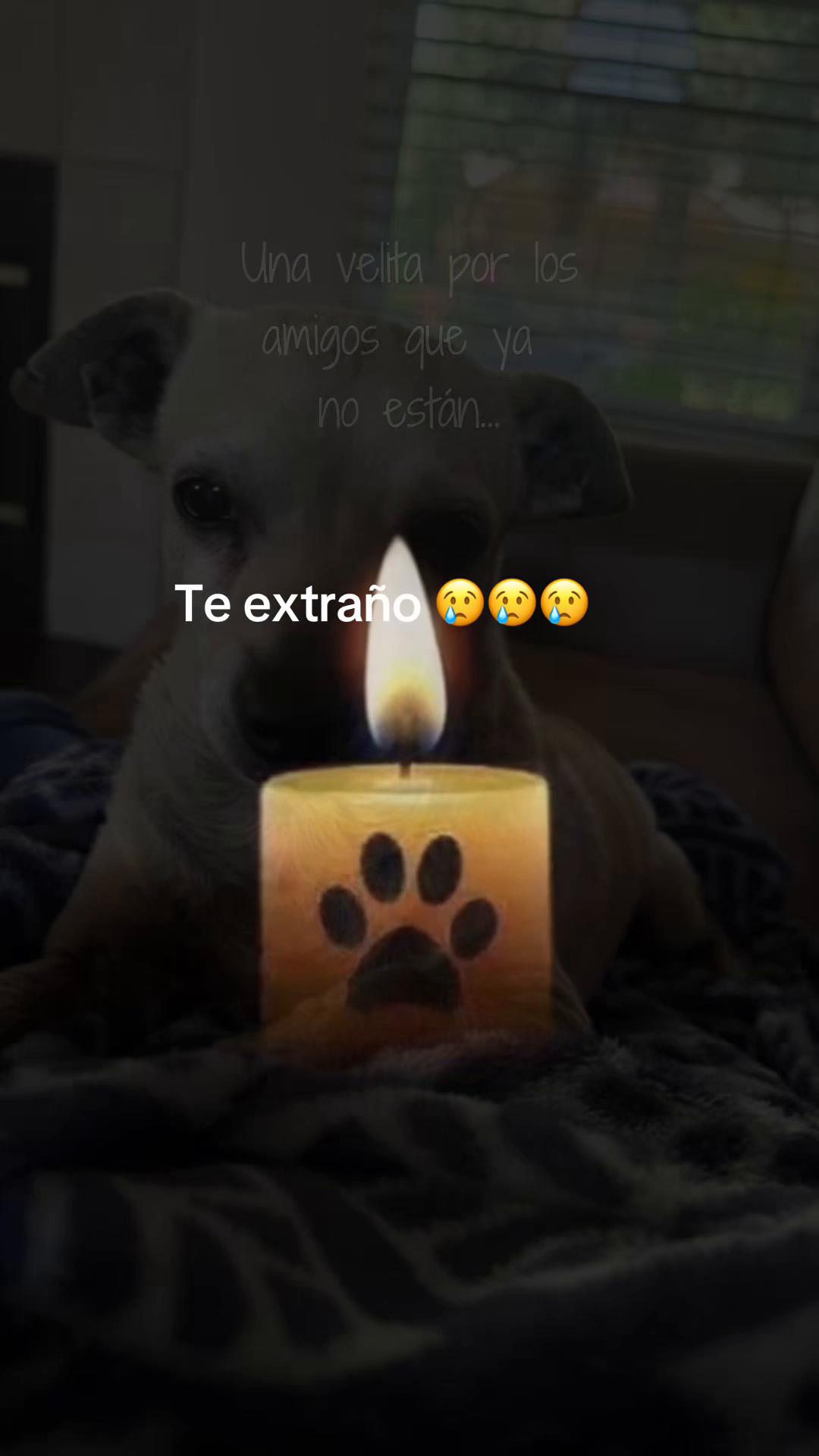 @maria s rodriguez
