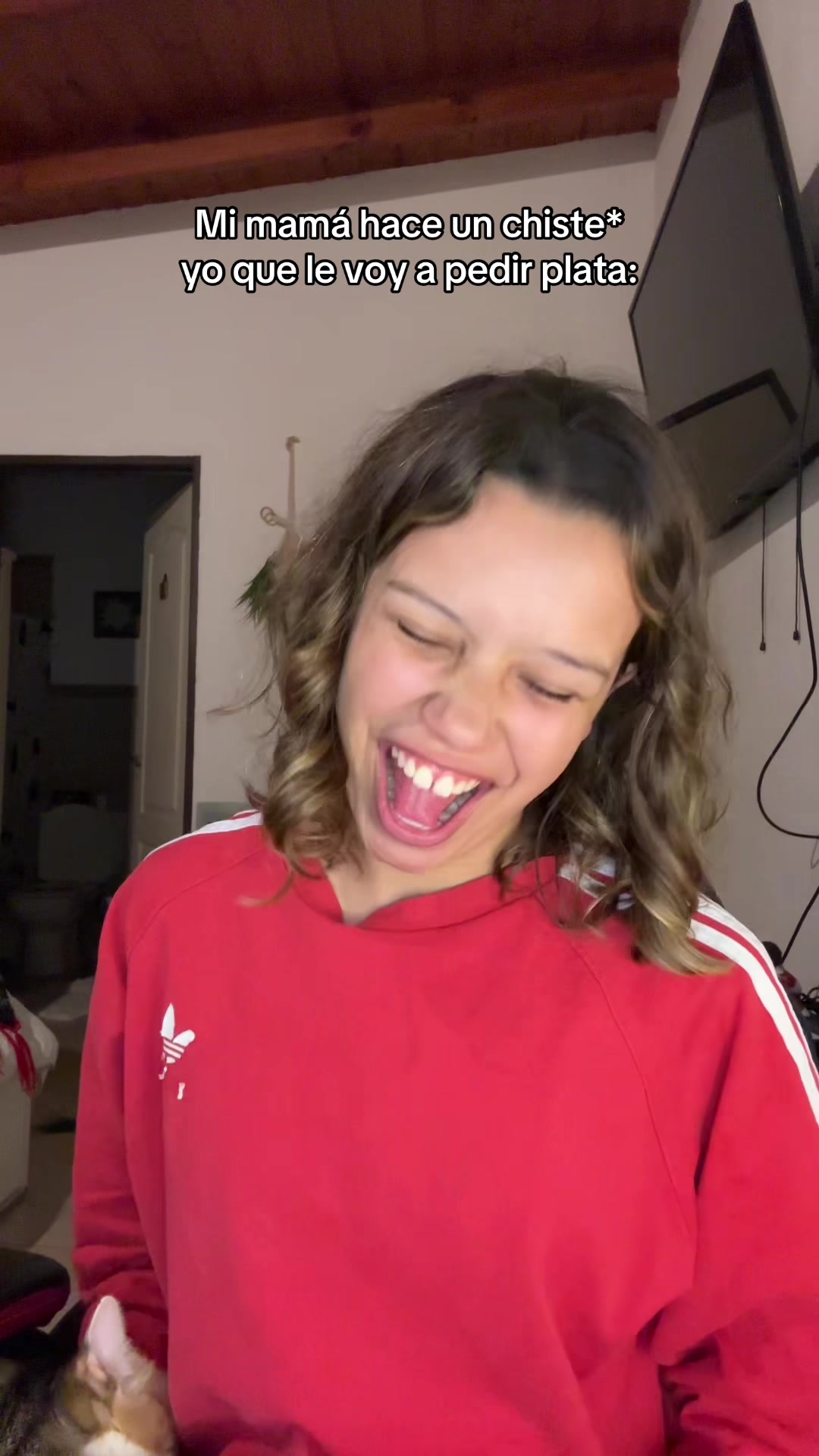 @caconeta