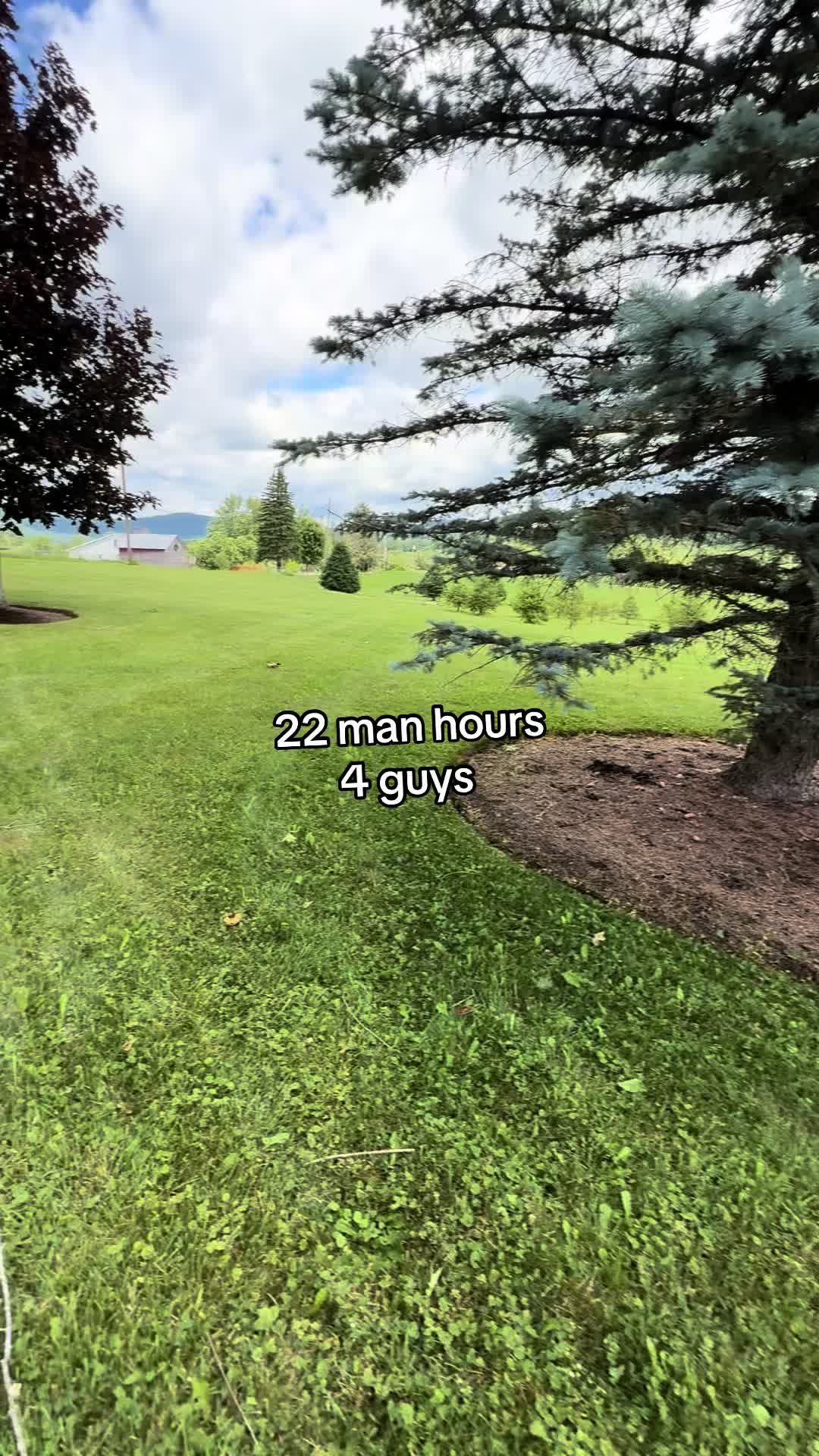 @Even Stevens Lawn Care