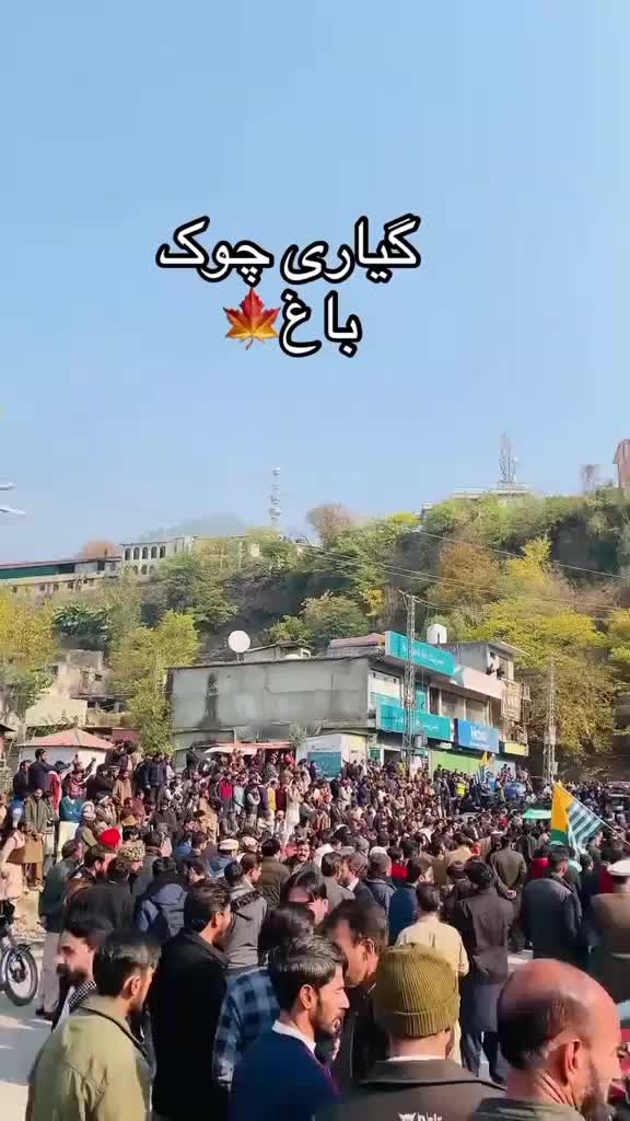@õP Shõâîb ⁴⁶ Live