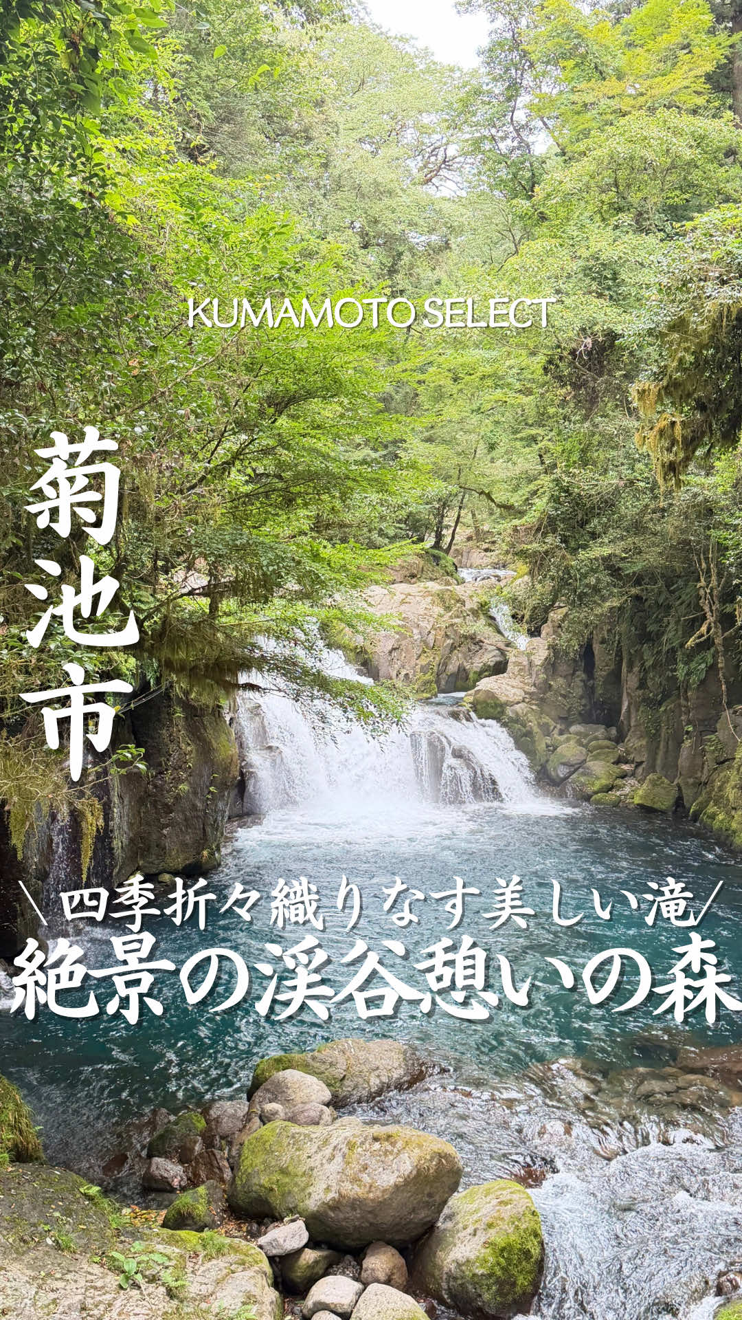 @熊本グルメ/KUMAMOTO SELECT