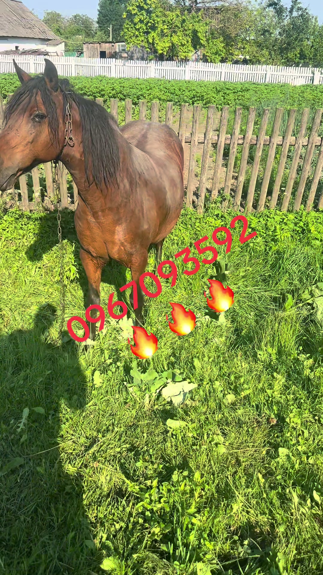 @Олександр