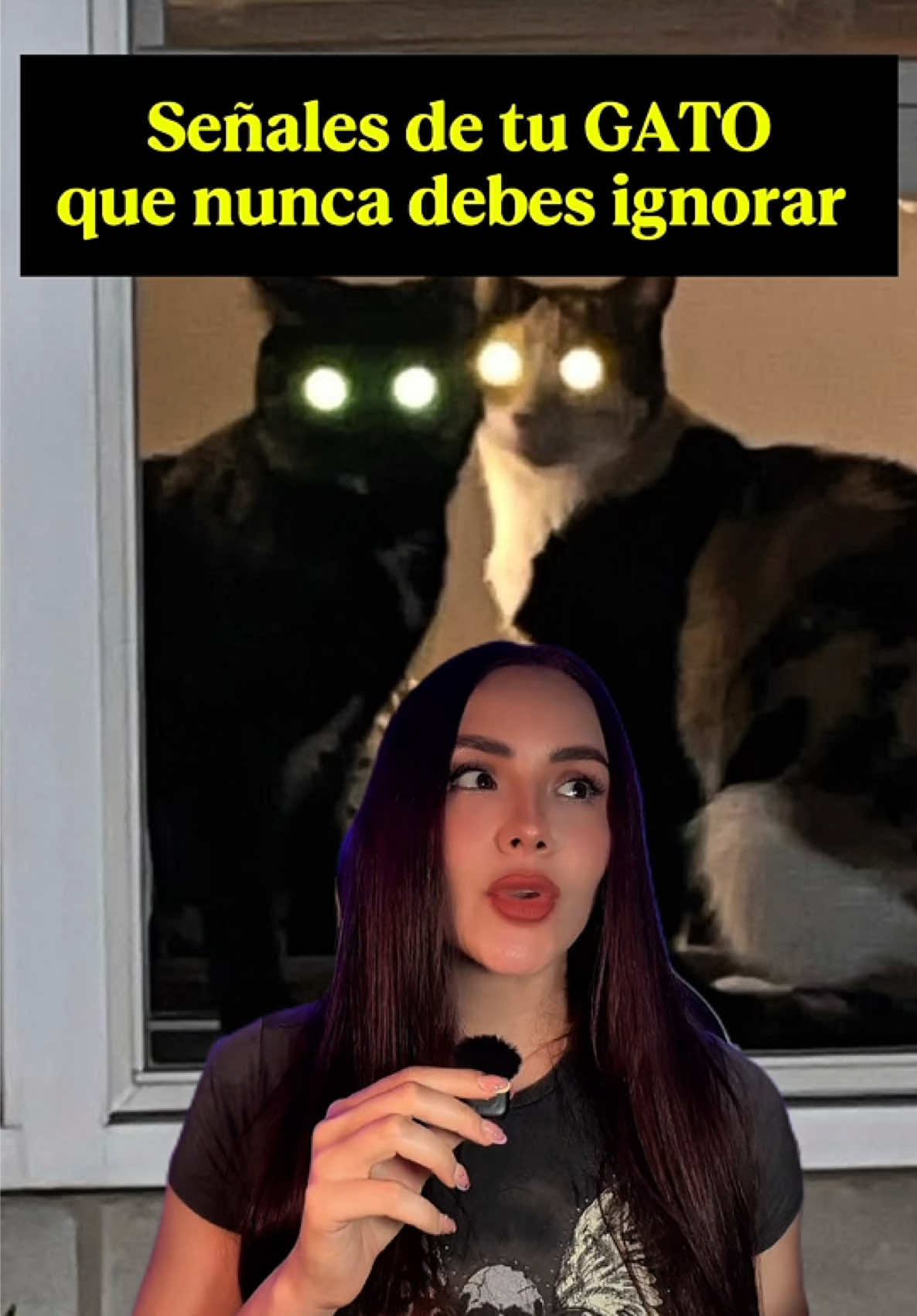 @carol_paranormal