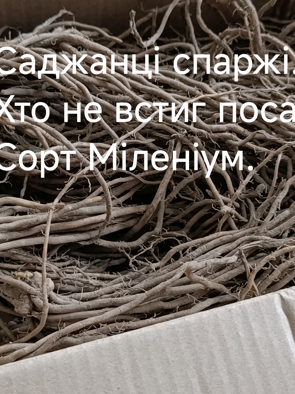 @Олег