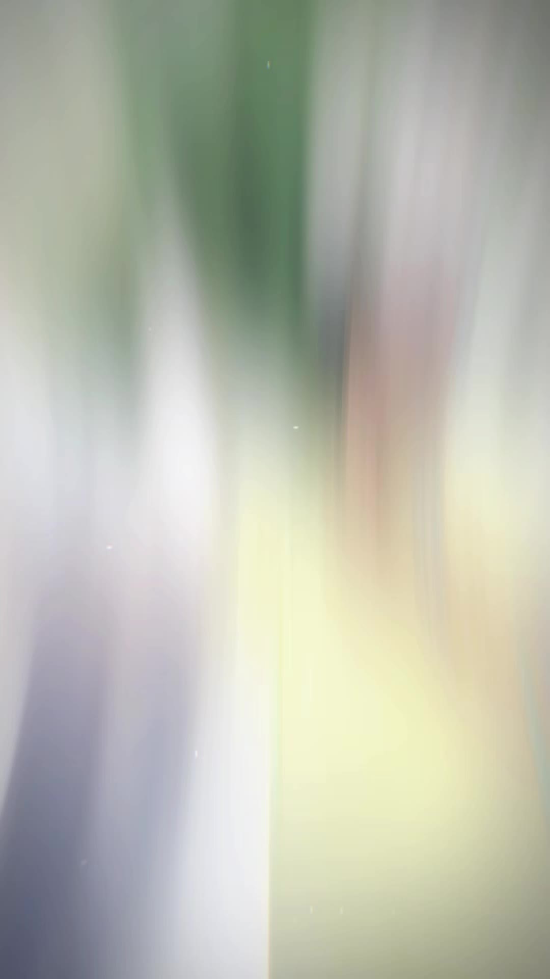 @๐๐๐๐ฉ๐ค ๐ฅท๐ป ๐ต๐น
