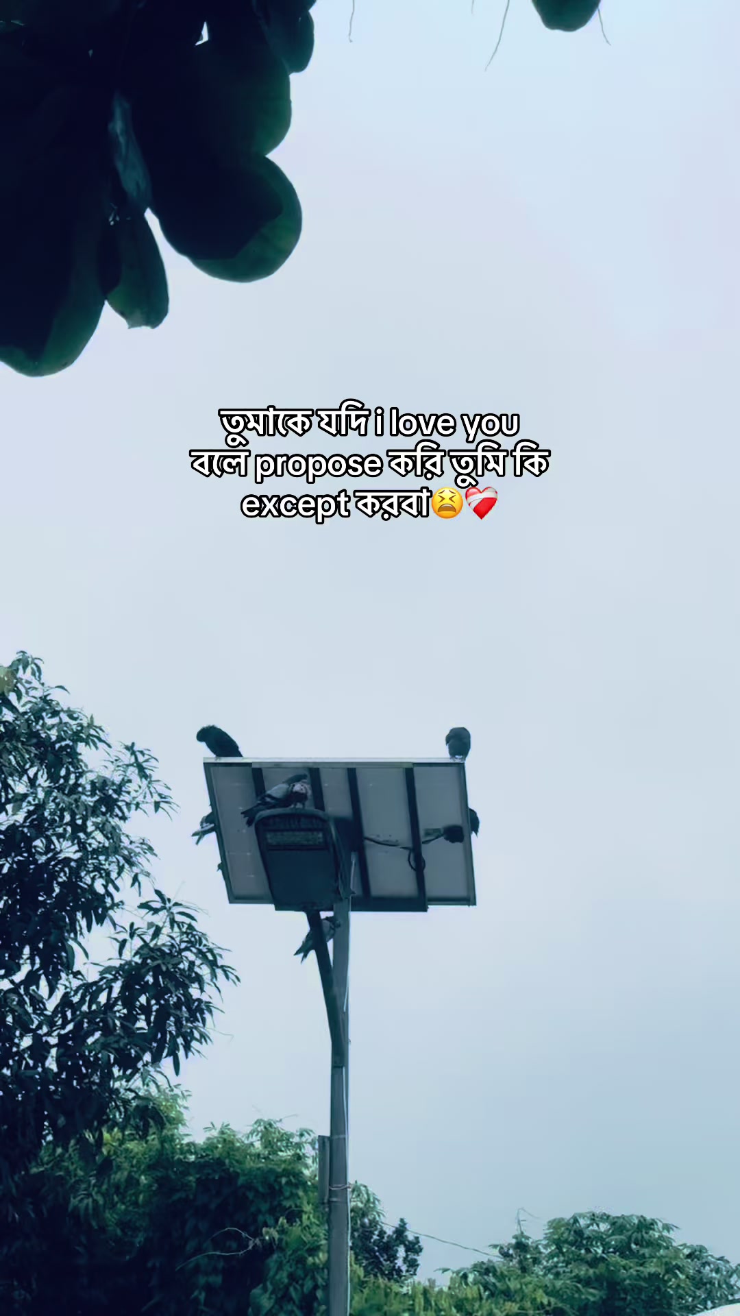 @𝗥𝗮𝗶𝗵𝗮𝗻 𝗕𝗵𝗮𝗶𝘆𝗮𝗮'