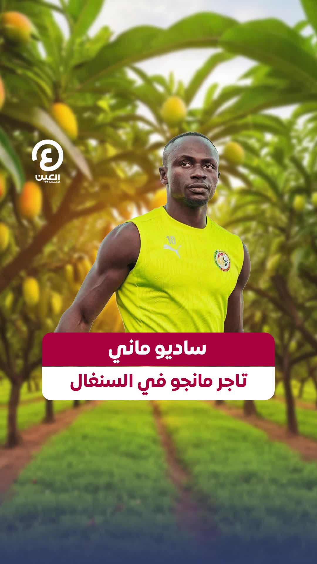 @العين الرياضية
