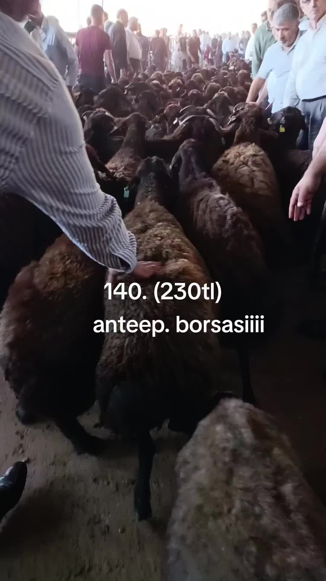 @eyyüp. beki. 🥀🥀🥀🥀