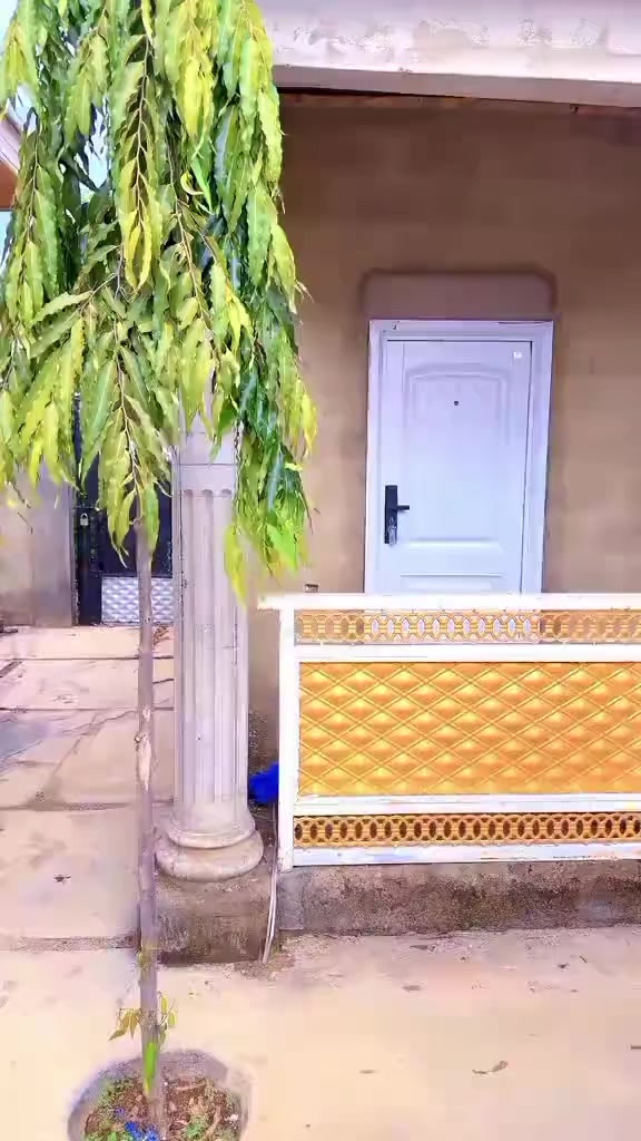 @Prince1✔️👑Muhammed👋