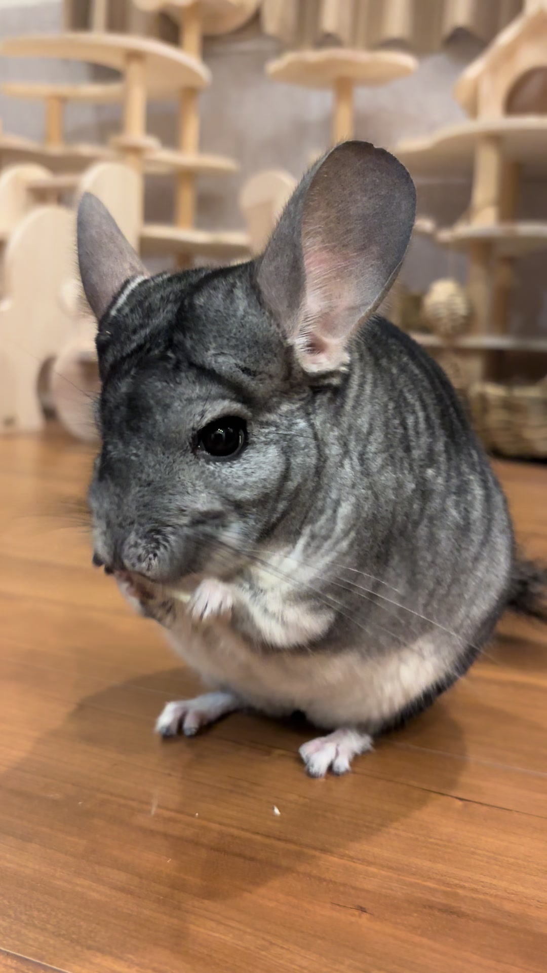 @おはぎとパパ